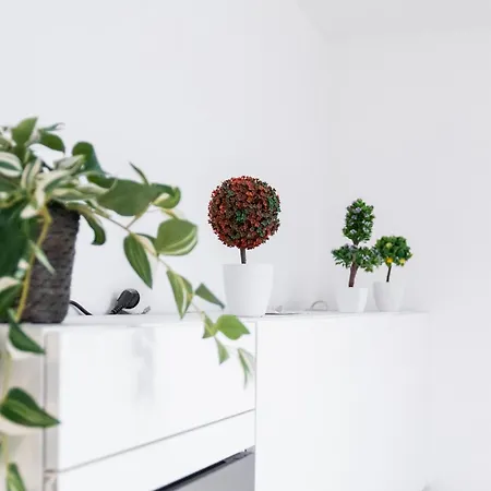 Apartamento Cozy Minimalist Retreat In The Heart Of Praga